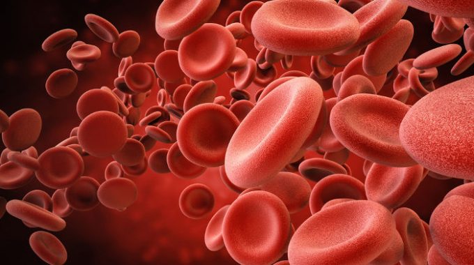 Células Do Sangue Podem Servir De ‘termômetro’ Para O Câncer De Mama