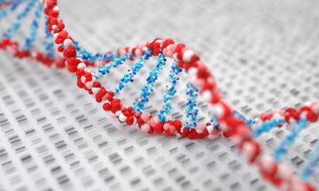 Imagem Ilustrativa De Um Sequenciamento Genético Em Representação Ao Estudo Genético Realizado Pela Universidade De Michigan