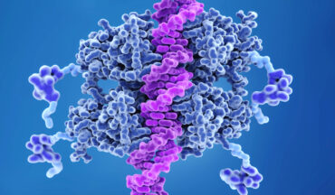 Imagem ilustrativa da proteína P53 se mesclando com o DNA
