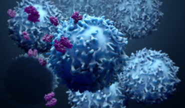 Imagem Do Sistema Imunológico