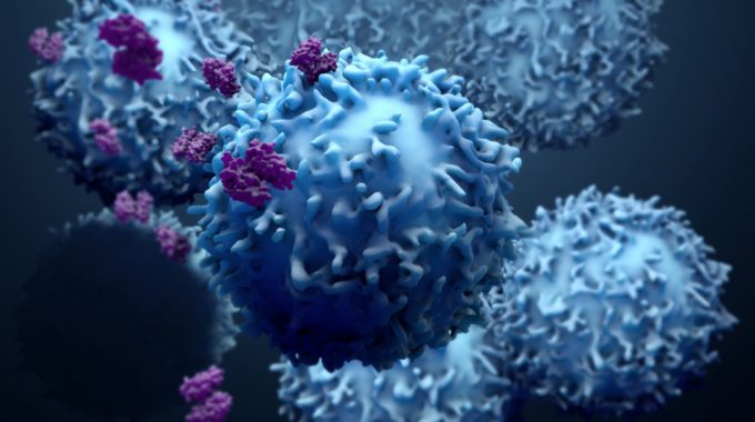 Imunoterapia Pode Ser Usada Para Reduzir Risco De Recidiva De Câncer