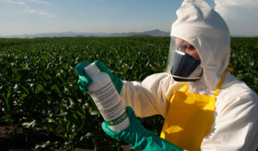 Homens Lendo Instruções Antes De Aplicar Pesticidas