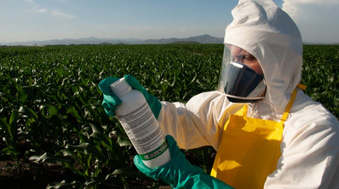 Homens Lendo Instruções Antes De Aplicar Pesticidas