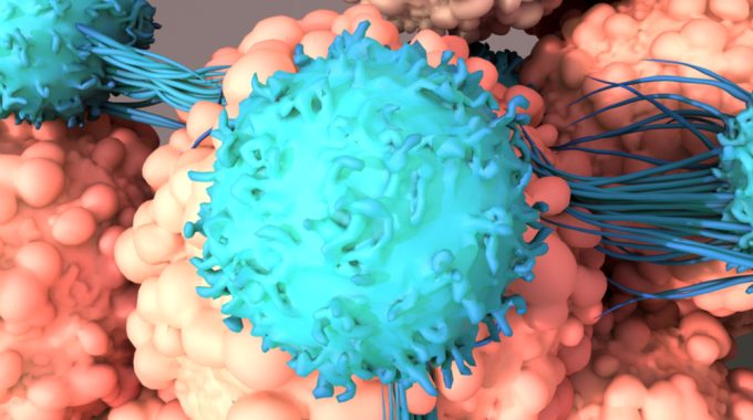 CAR-T Cell: SP Anuncia Produção Em Larga Escala De Terapia Genética Contra O Câncer